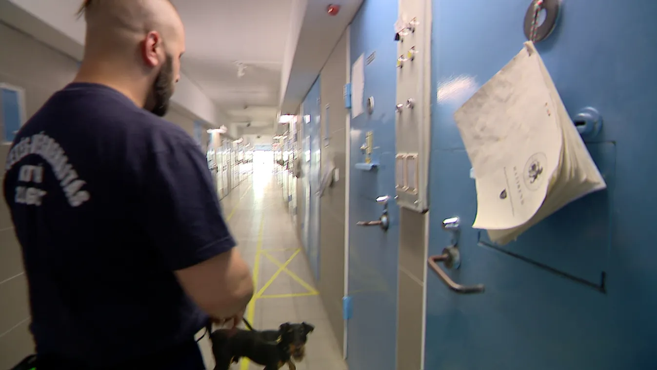 Radar - 2022 leizgalmasabb Radar riportjai