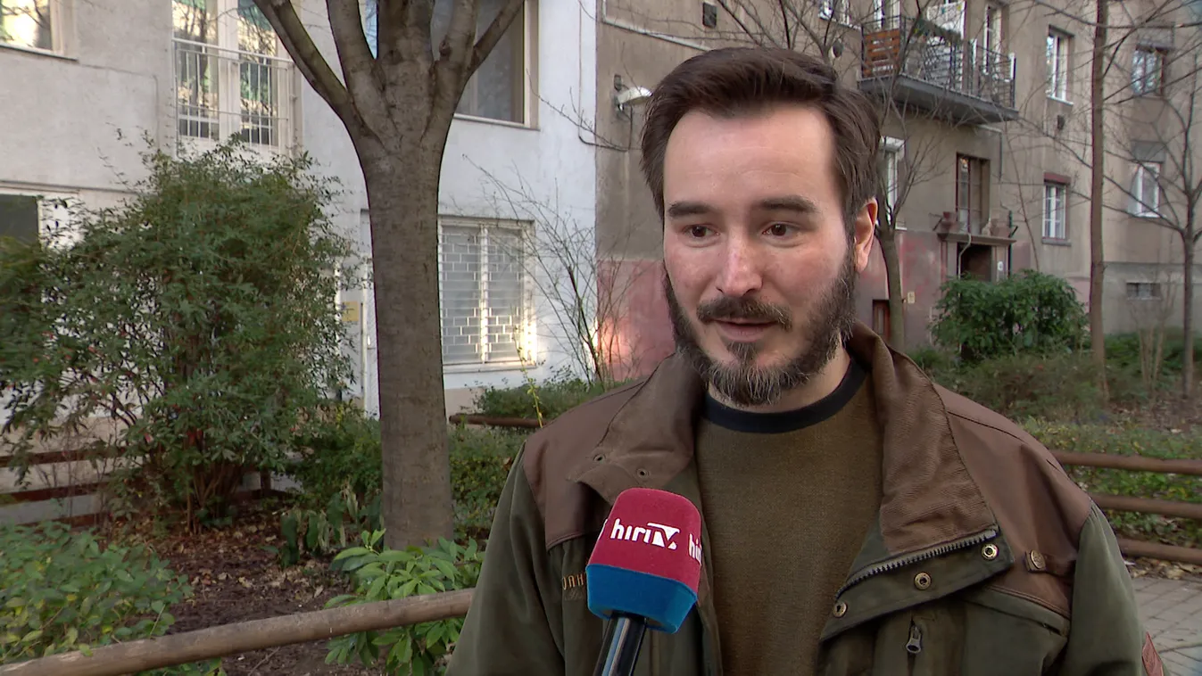 Nem bírnak a lakók az utcákon kószáló vaddisznókkal a Balatonnál