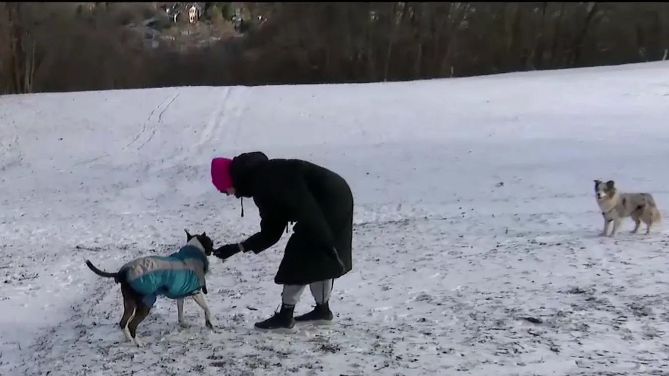 Napindító - A kutyákat is megviseli a hideg
