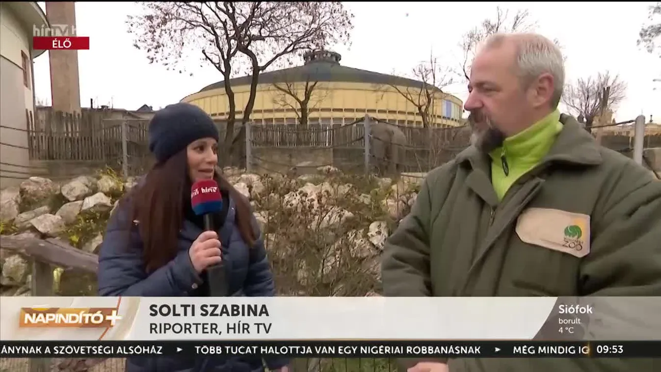 Napindító - Beteg lett Samu, a kiselefánt (2023-01-26)