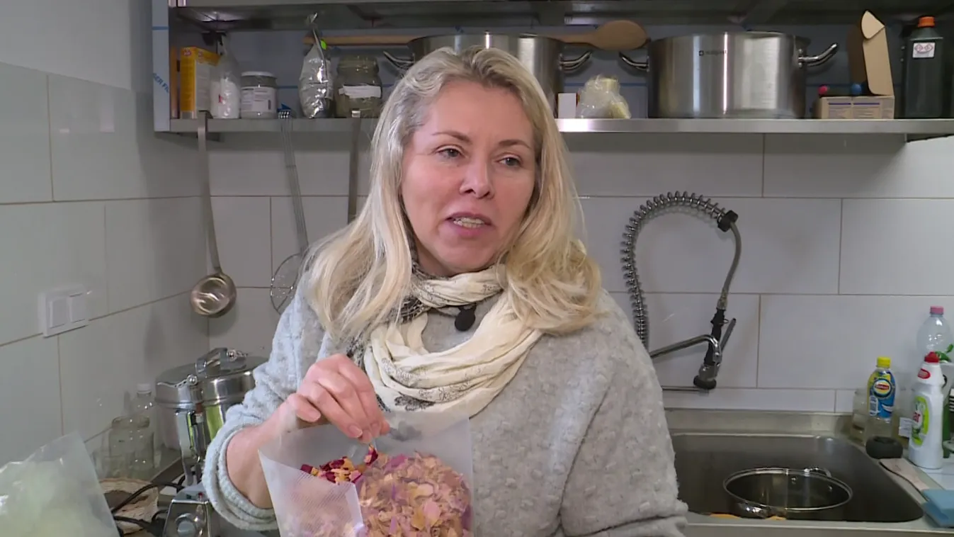 Radar - Gyógynövények télen