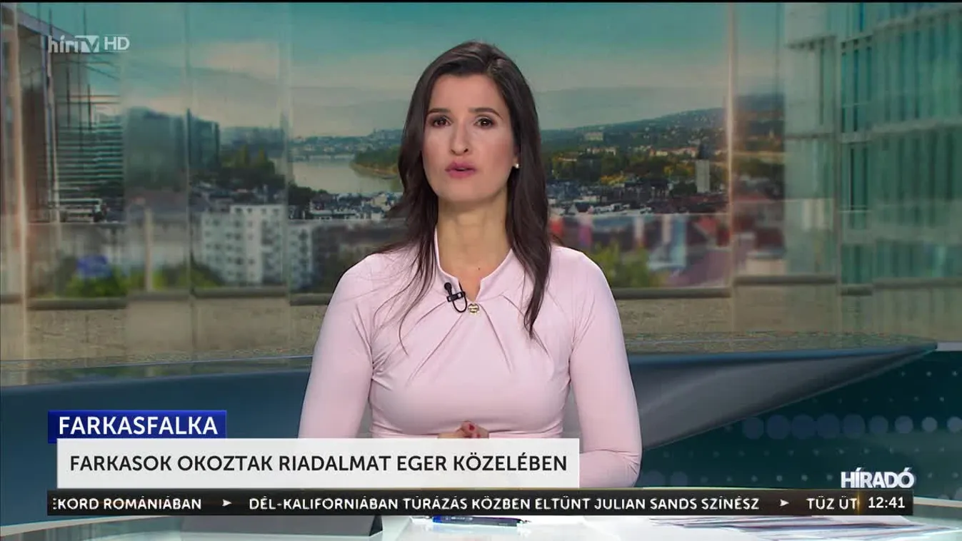 Farkasok okoztak riadalmat Eger közelében