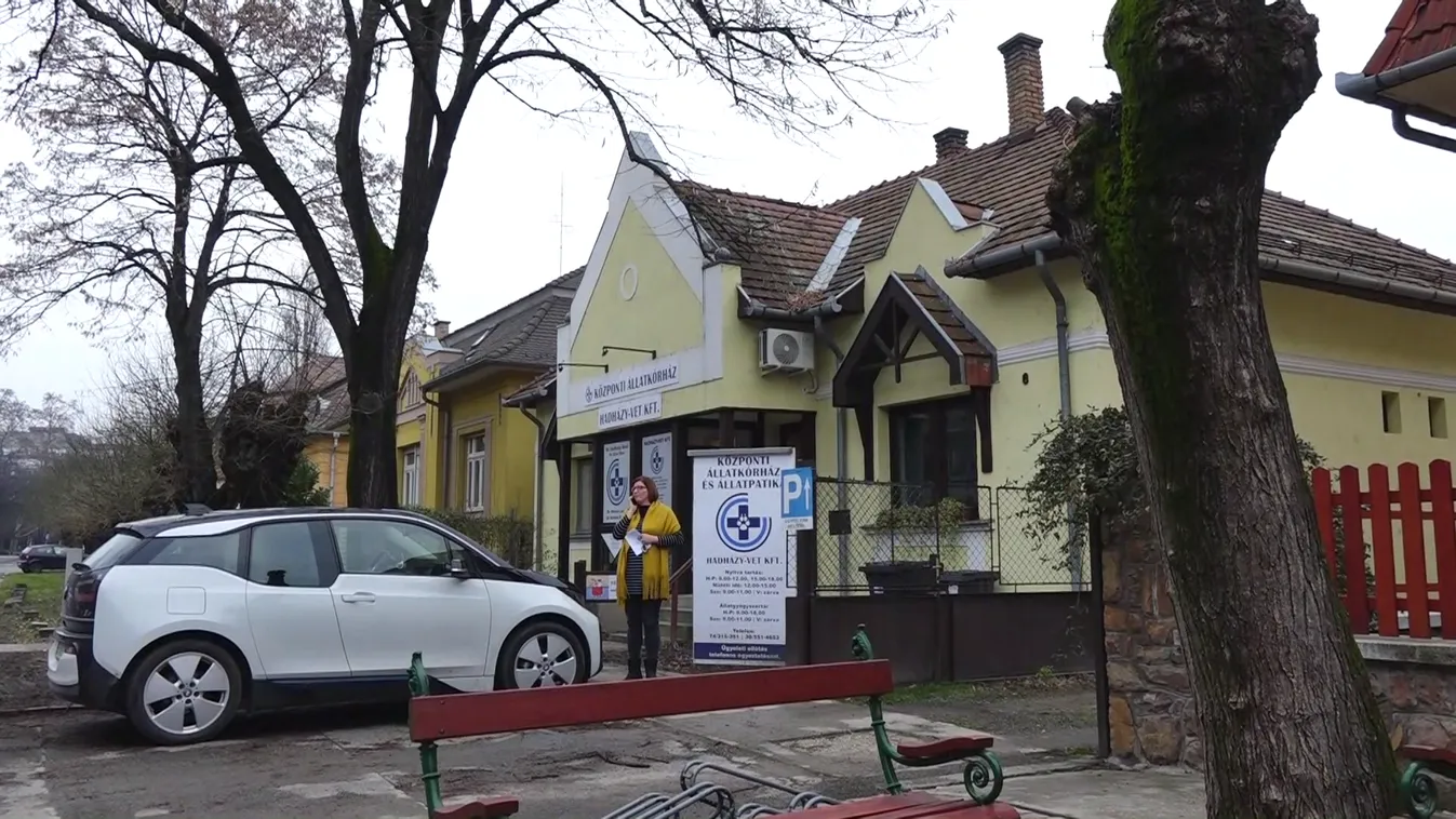 Az állatklinikájával is trükközhet a baloldali Hadházy Ákos