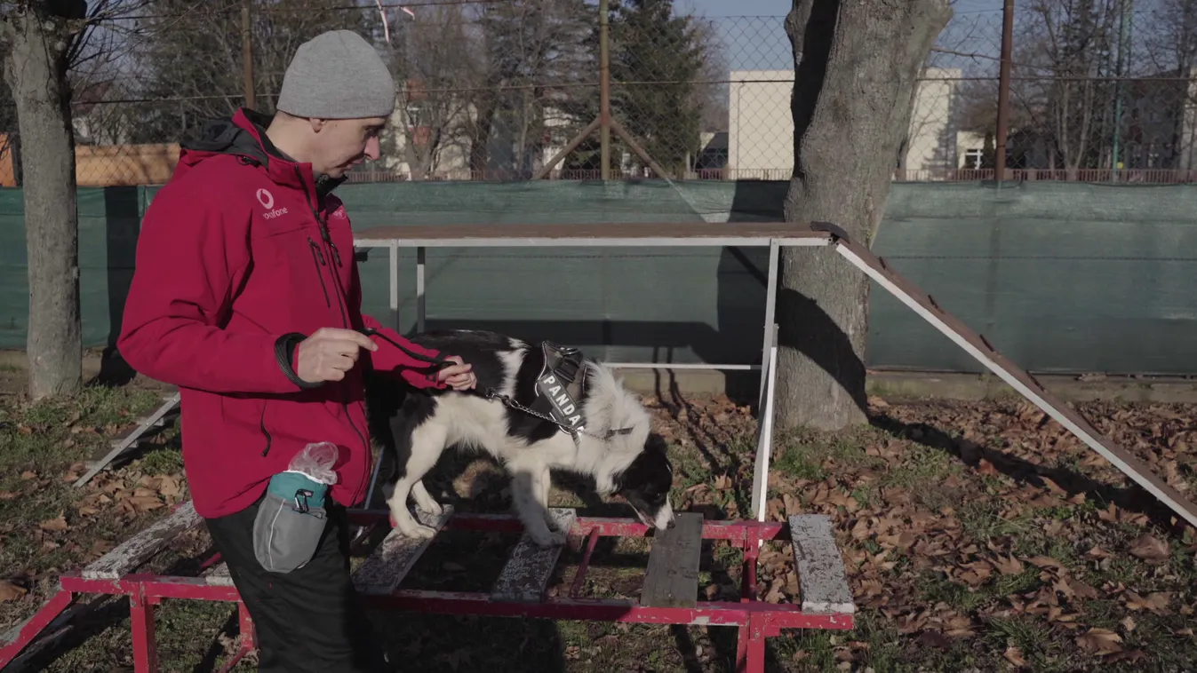 Radar - Mentőkutyák akcióban