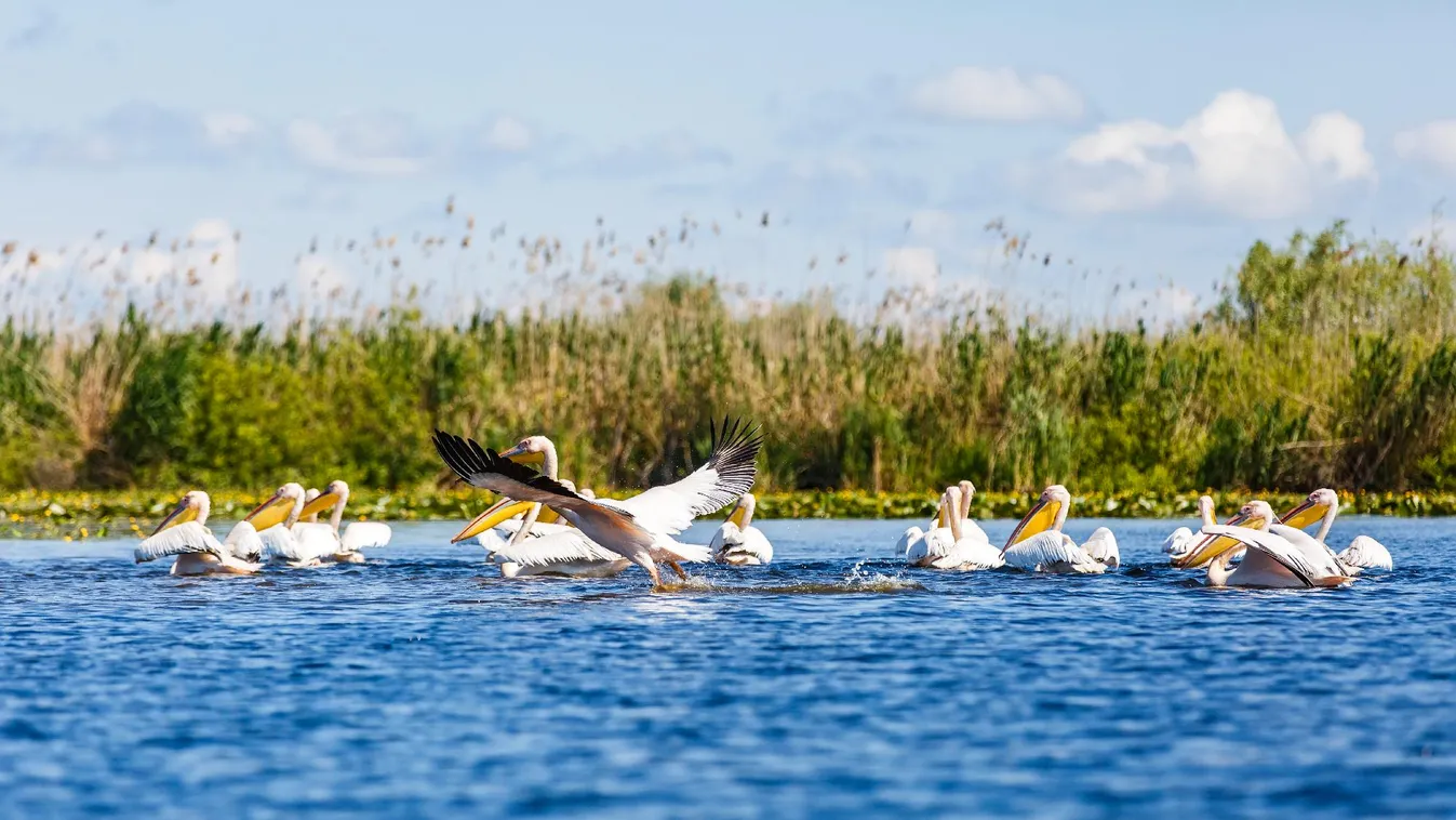 Bekérette a román külügy Ukrajna bukaresti nagykövetét