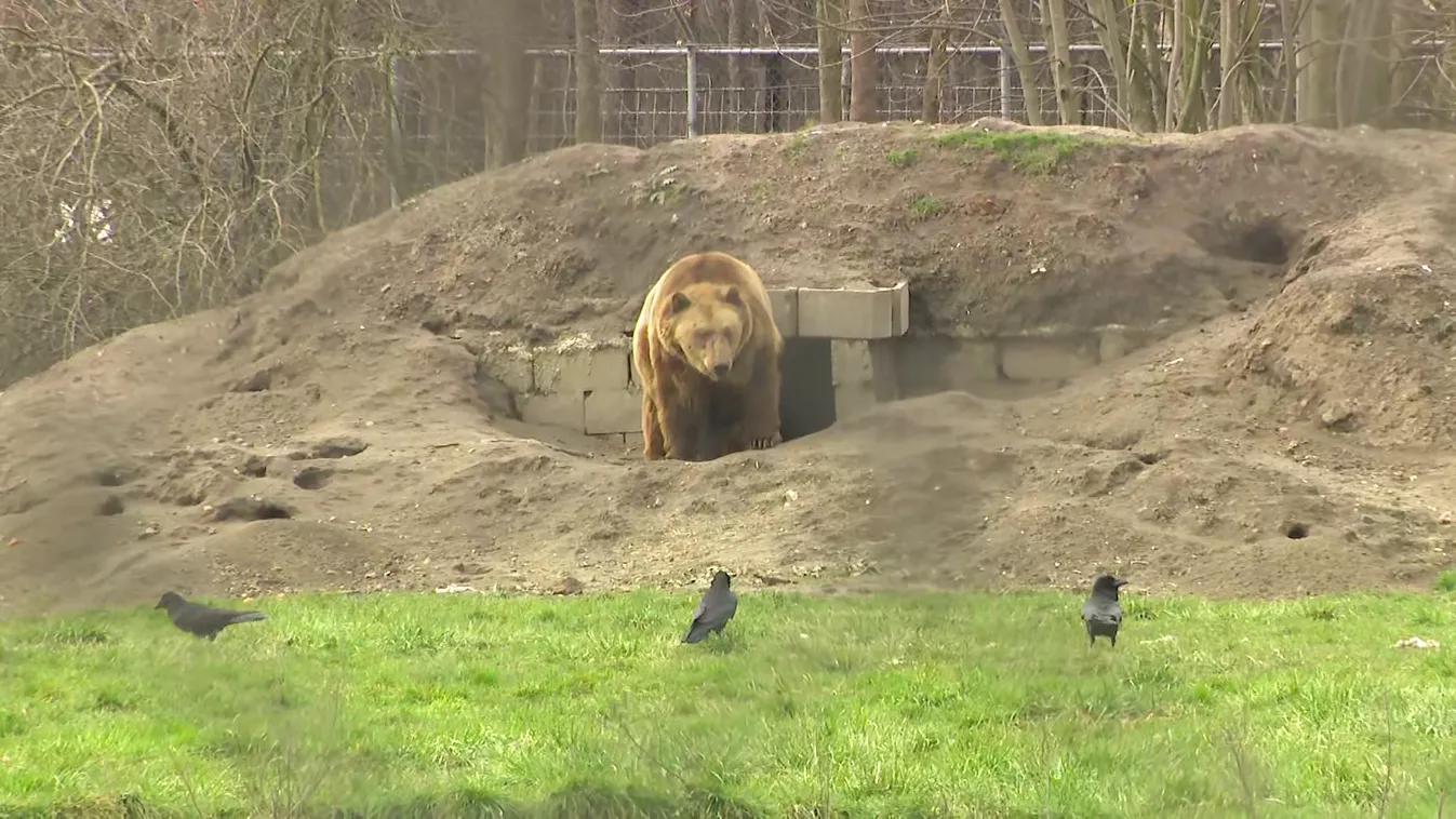 Ma kiderül, jön-e a tavasz