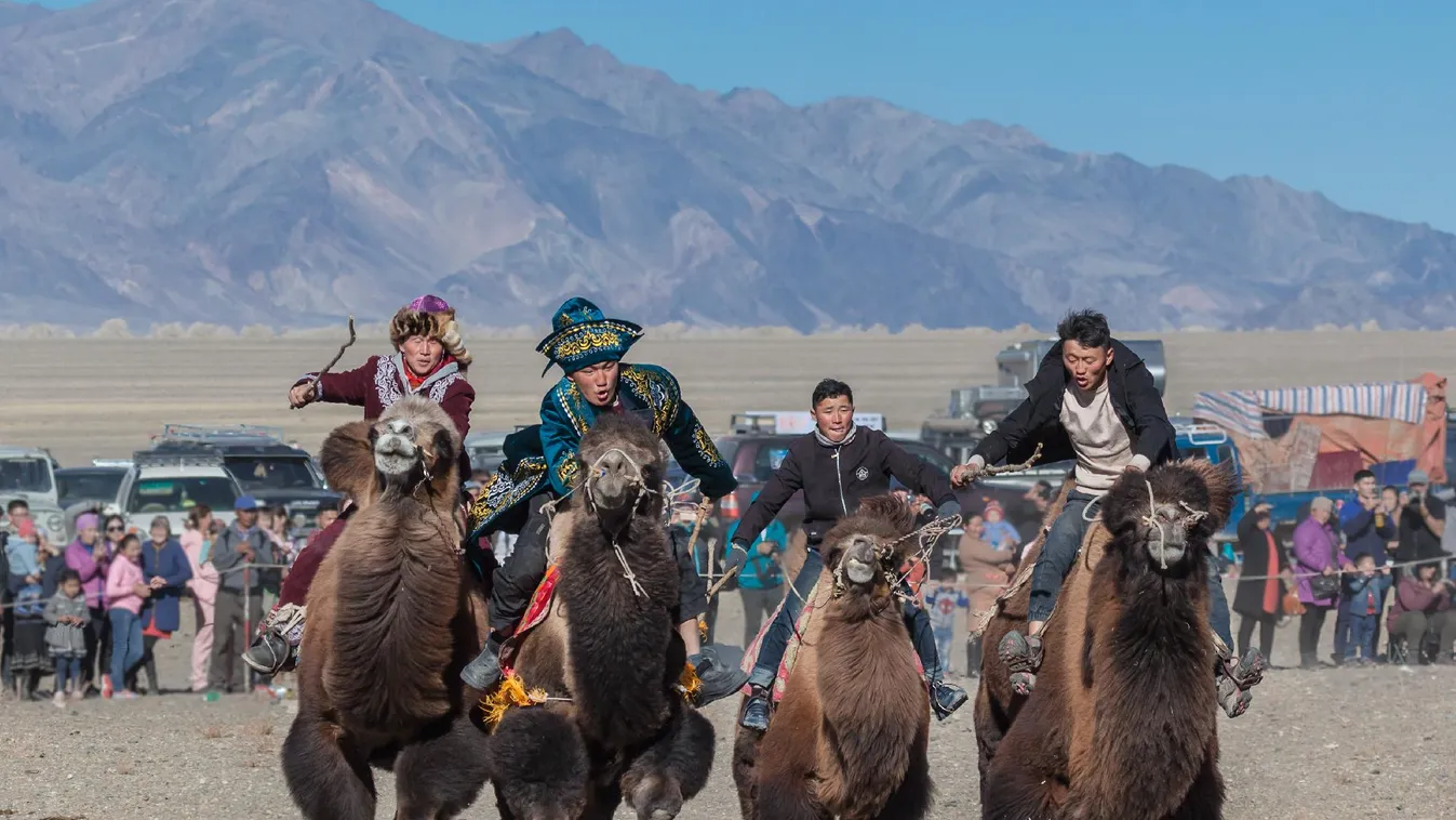 Tevefesztivált rendeznek Mongóliában