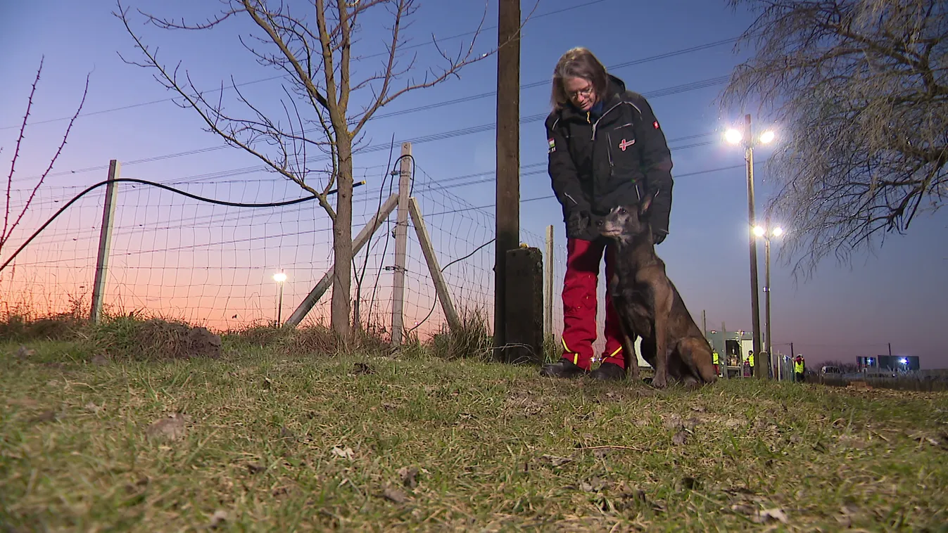 Radar - Négylábú hősök a romok között