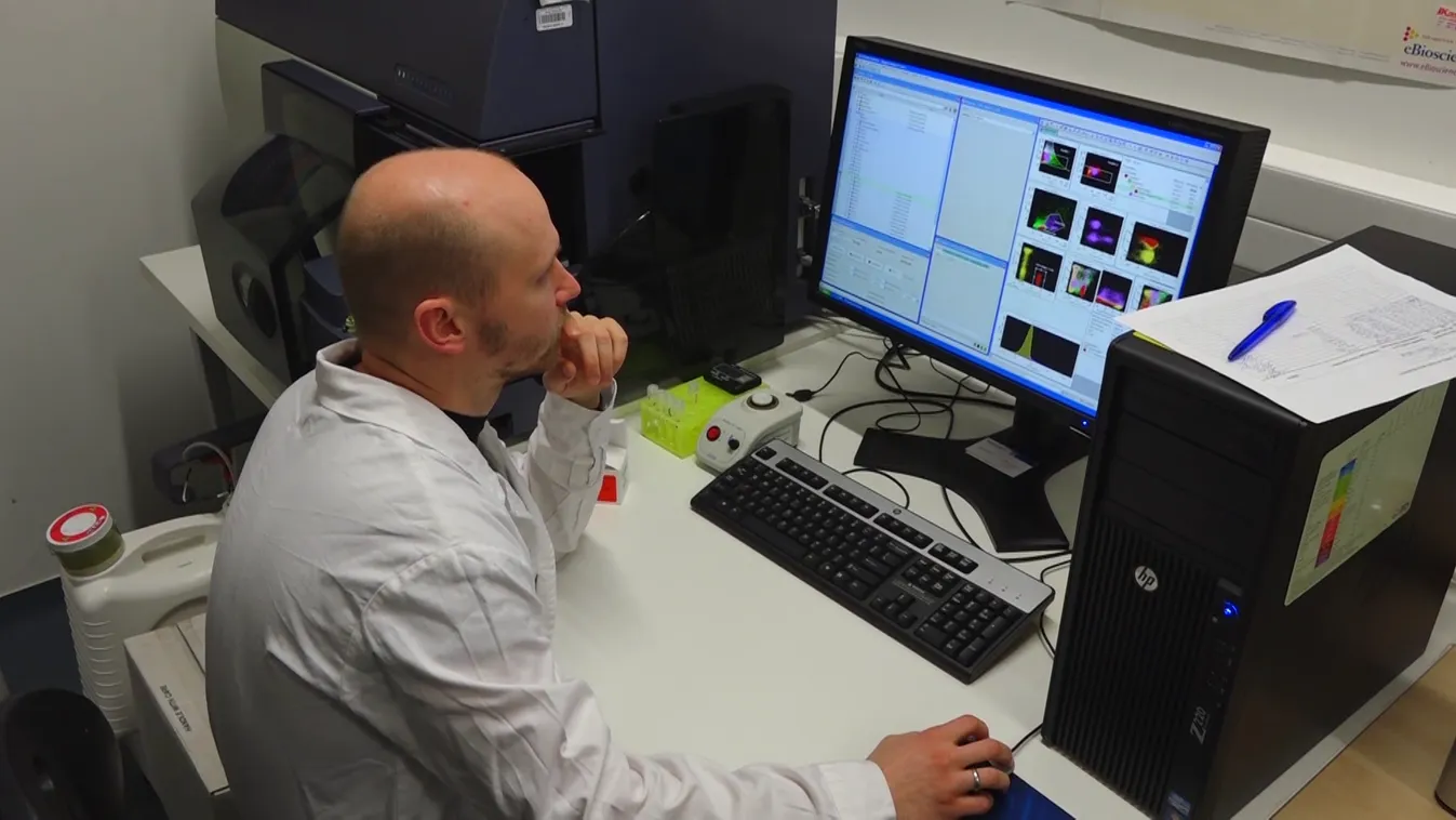 A Pécsi Tudományegyetem sikeres kutatásokat végez a koronavíruselleni harcban