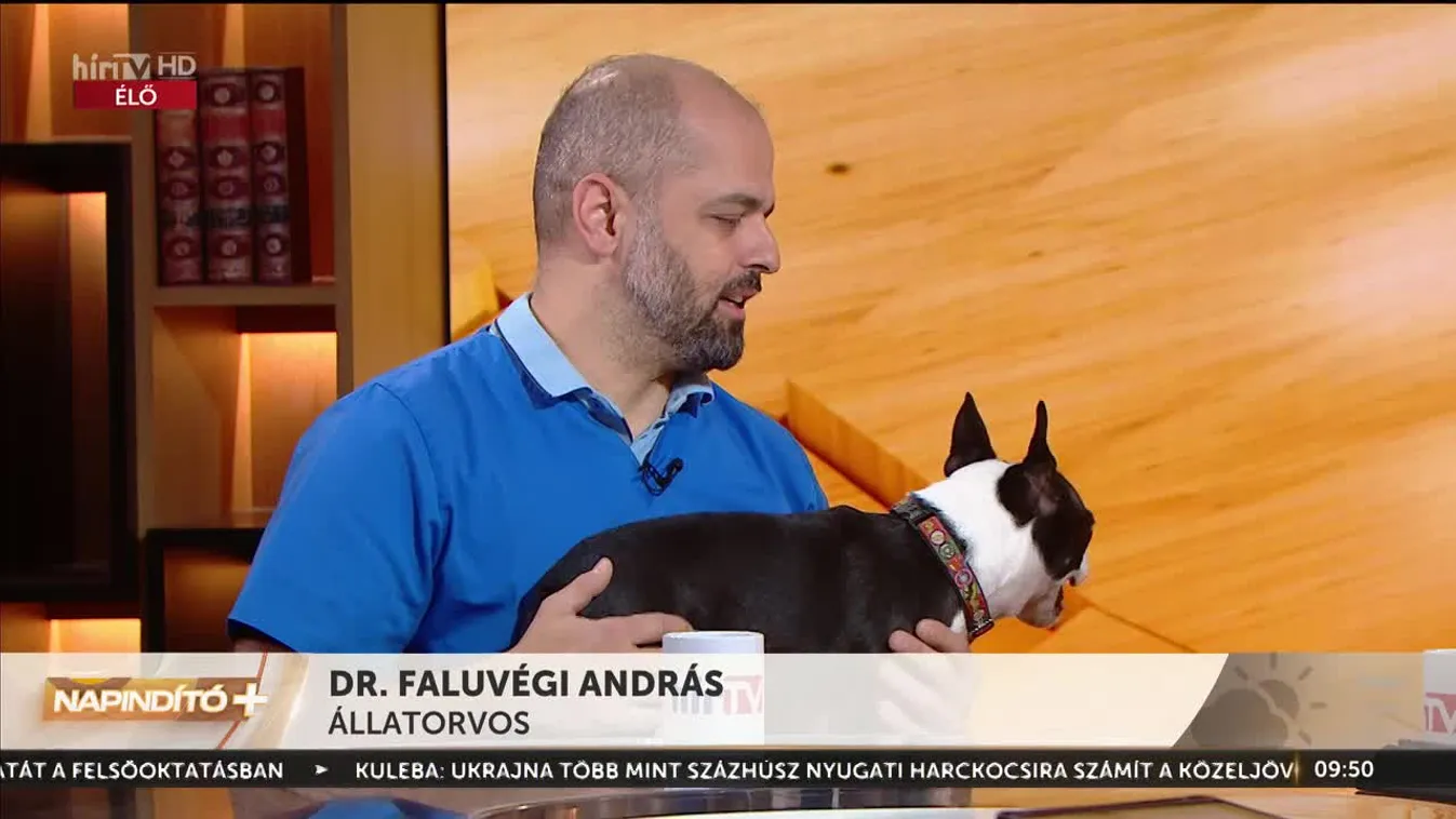 Napindító - Négy lábon egészségesen (2023-02-01)