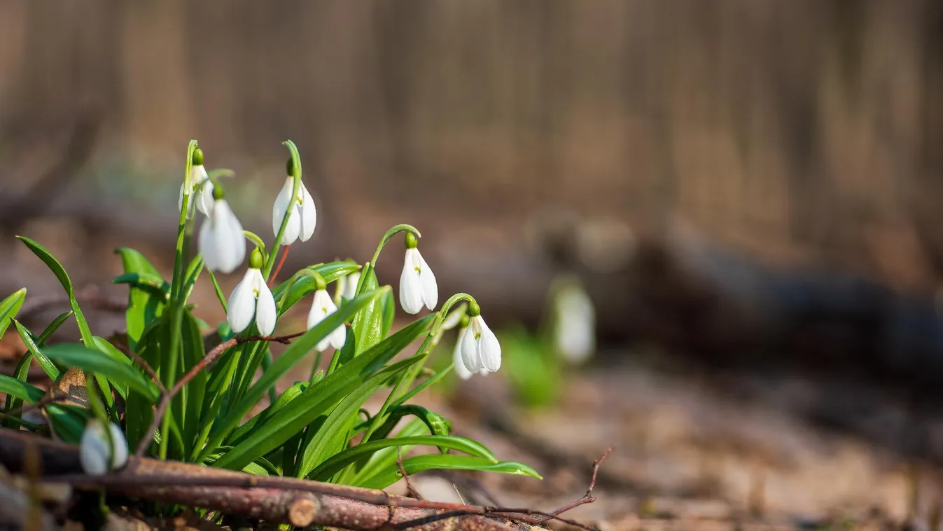 Megdőlt a napi országos és a budapesti melegrekord is