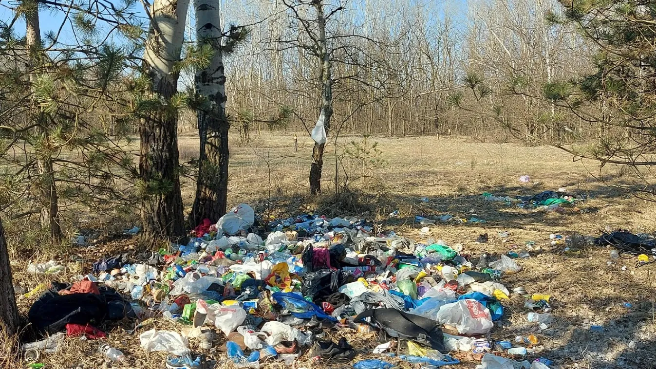 Így néz ki a szabadkai erdő miután elhagyták a migránsok