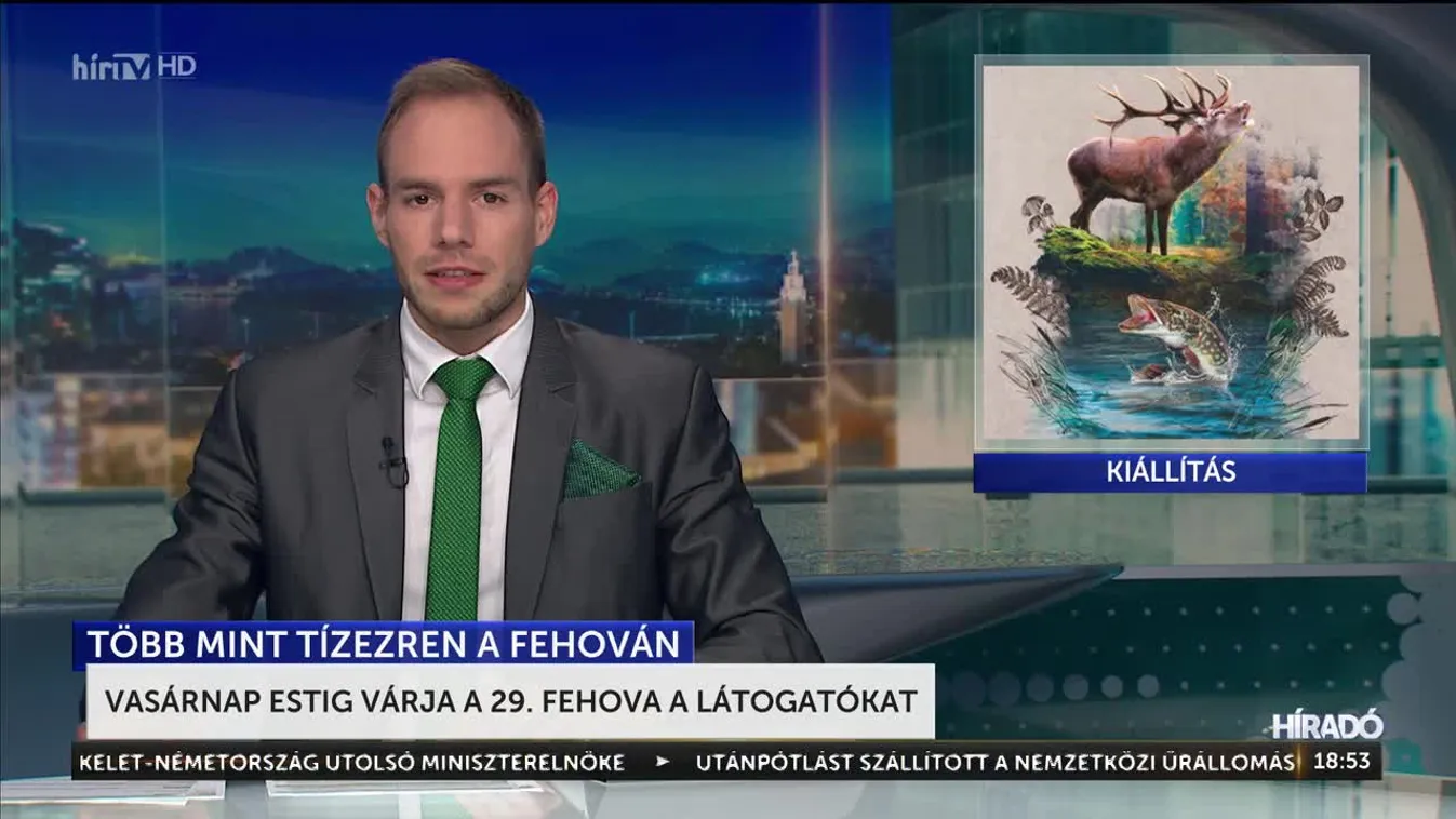 Több mint 10 ezren a FeHoVá-n