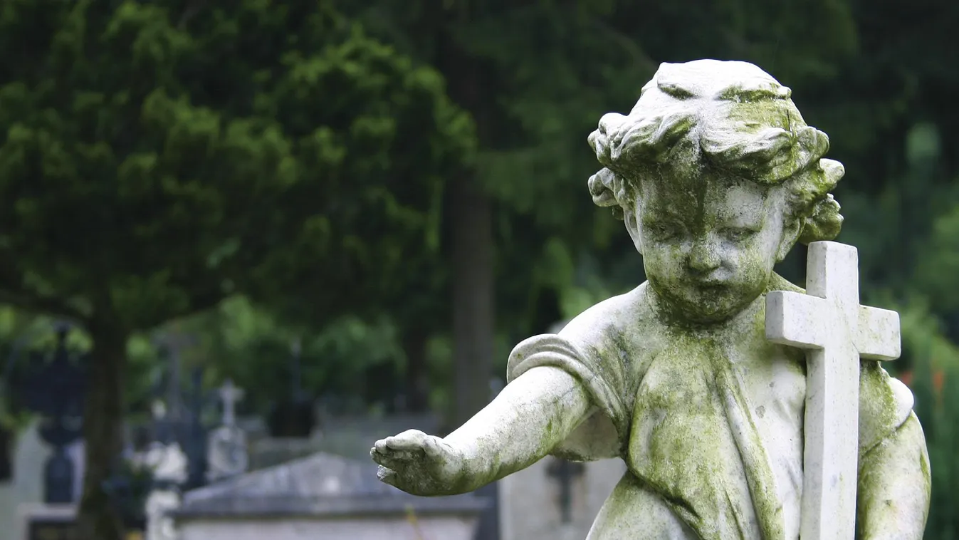 Több mint 4 millió magzat vesztette életét a kommunizmus alatt Magyarországon