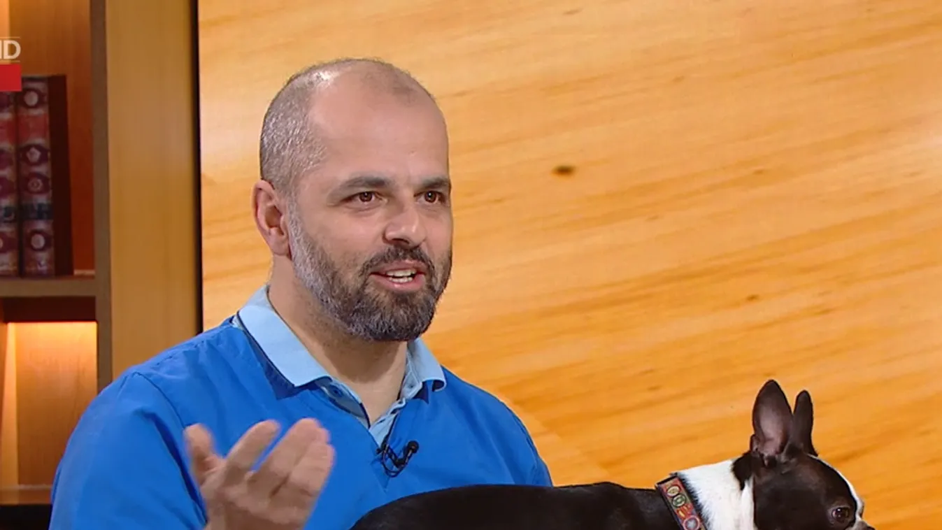 Napindító - Négy lábon egészségesen