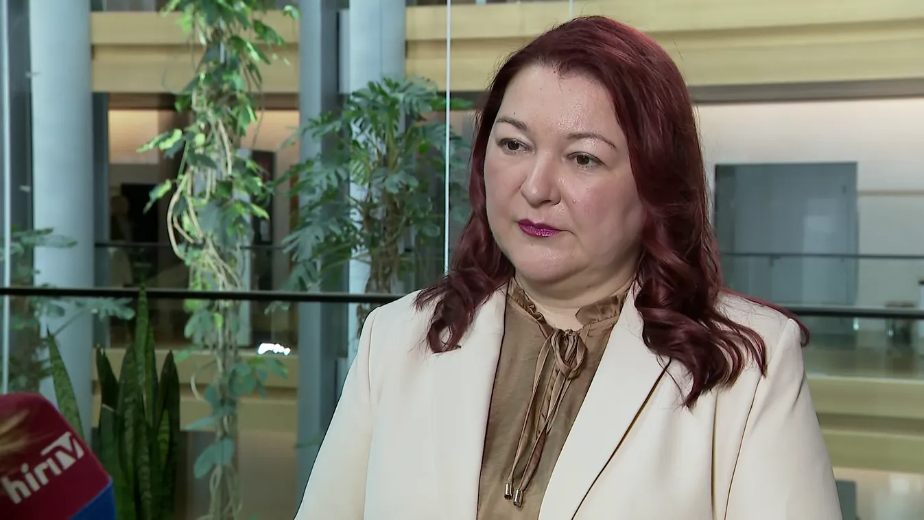 Bocskor Andrea: A decemberben elfogadott kisebbségi törvény nem jelent megoldást