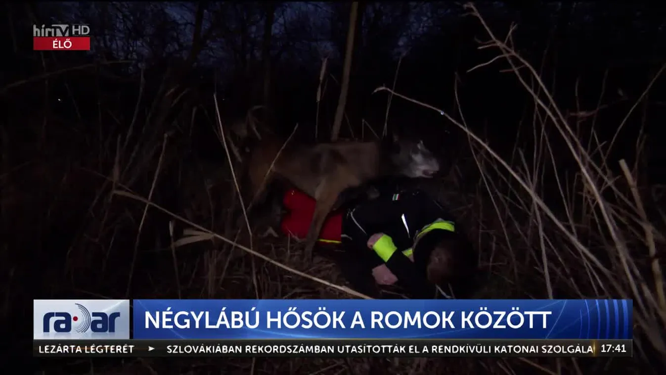 Radar - Négylábú hősök a romok között (2023-02-14)