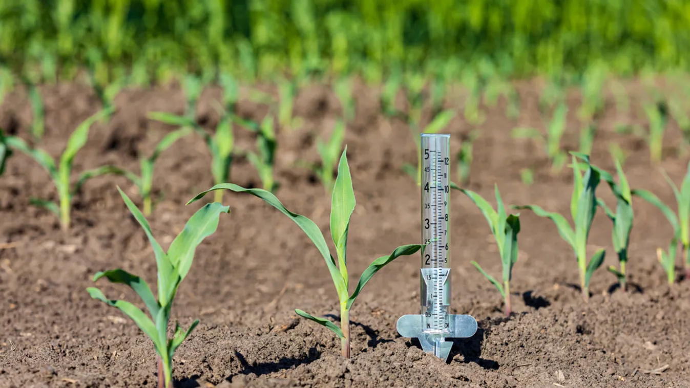 Agrárminiszter: négyszeresére növelte a kormány a kárenyhítési alap forrásait