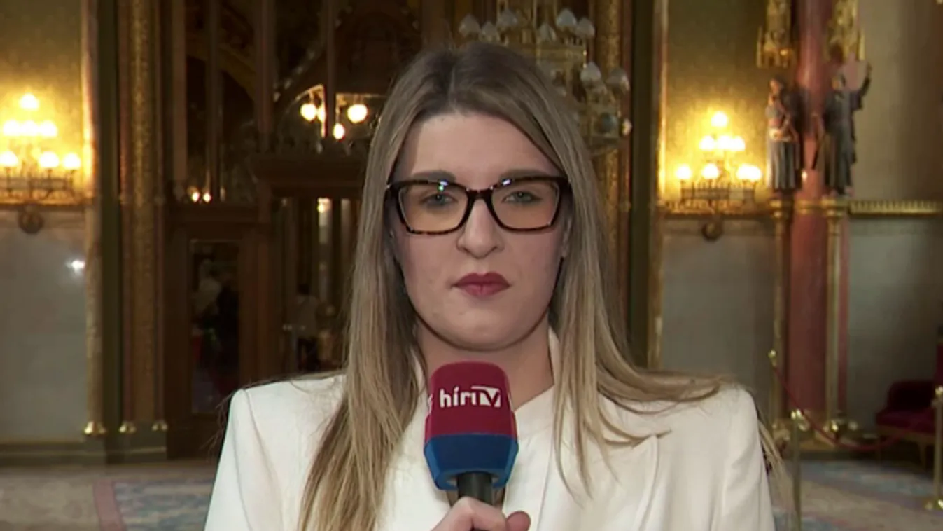 Az Európai Ügyek Bizottságának ülése a parlamentben