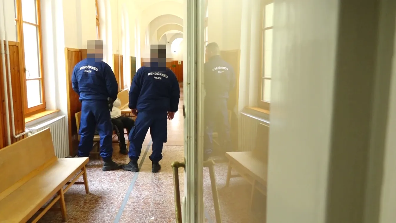 Meghosszabbította a volt LMP-s politikus letartóztatását a kaposvári bíróság