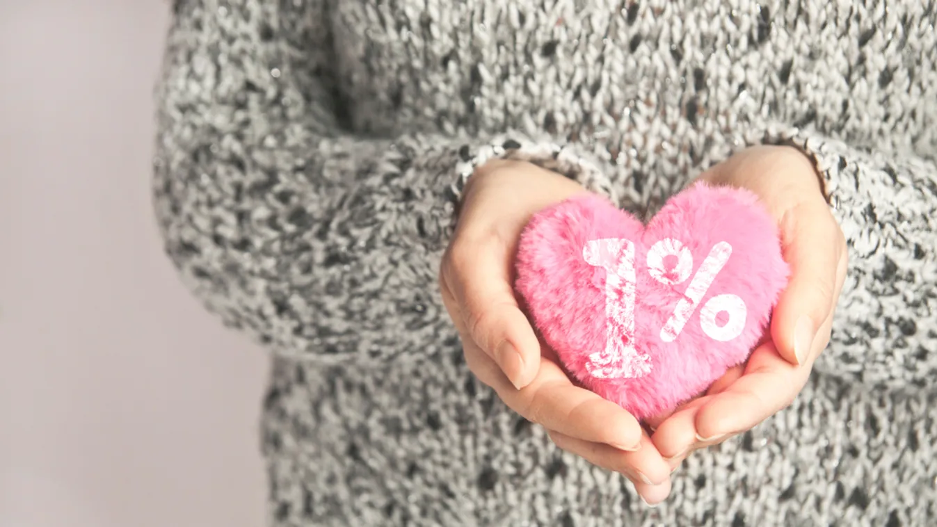 Május 22-ig lehet rendelkezni az szja 1+1 százalékáról