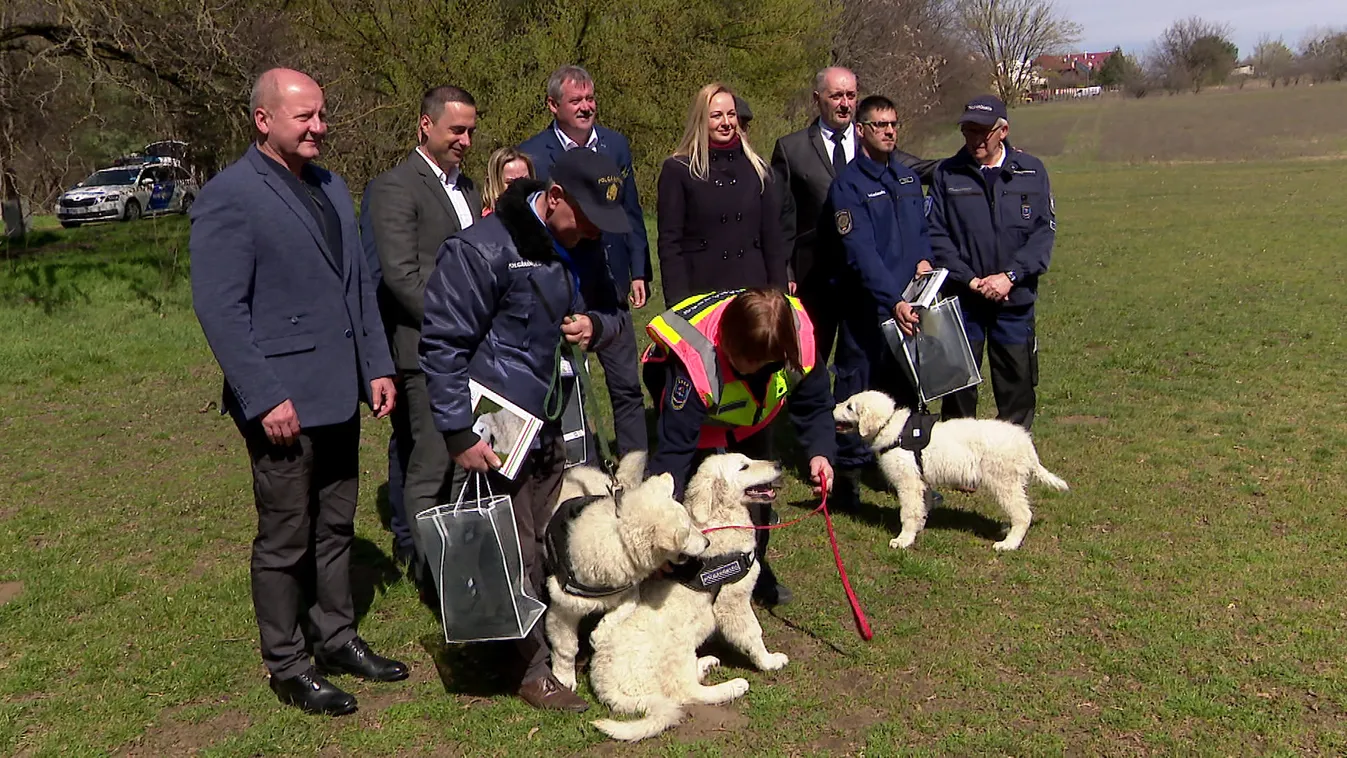 Hatodik alkalommal vehetett át kuvaszkölyköket az Országos Polgárőr Szövetség