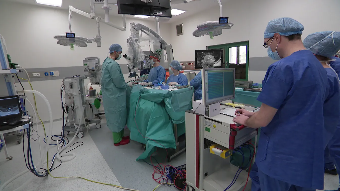 Radar - Élő közvetítés az agyból