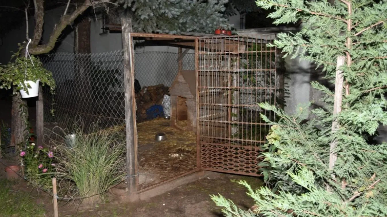 Brutális sérülést okozott egy kutya, vádat emeltek a gazdája ellen