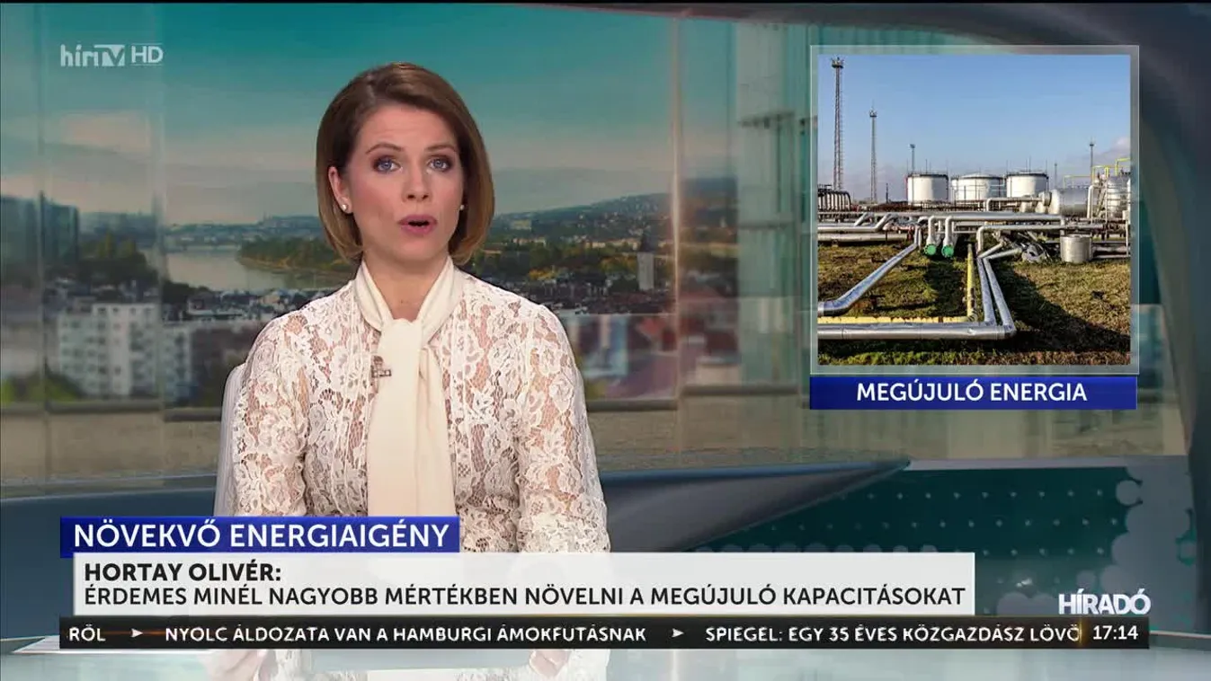 Hortay Olivér: Érdemes minél nagyobb mértékben növelni a megújuló kapacitásokat