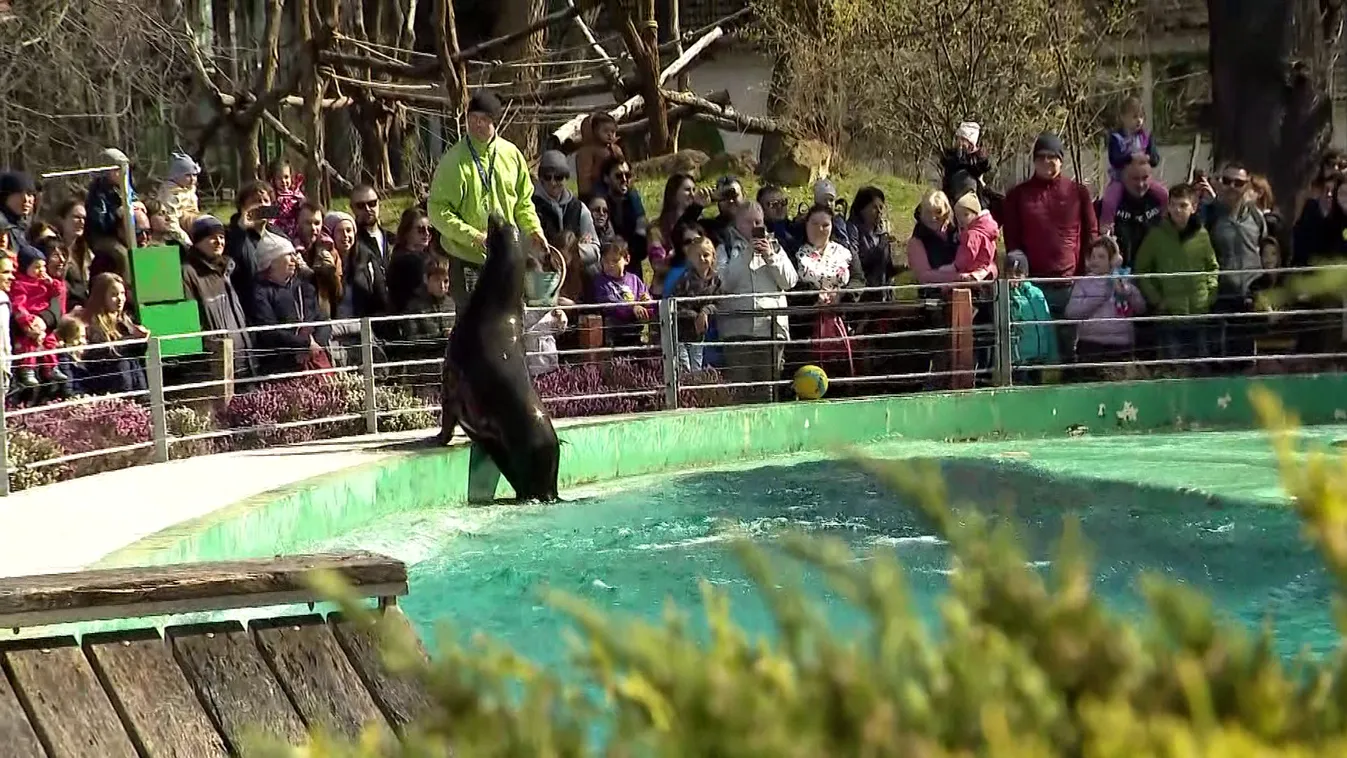 Érdekes programokkal készült a tavaszra a Fővárosi Állatkert