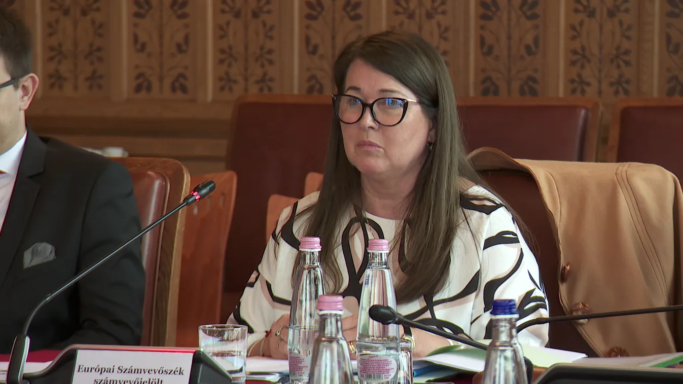 Az Európai Ügyek Bizottságának ülése a Parlamentben