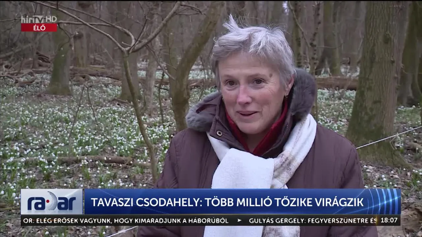 Radar - Tavaszi csodahely: több millió tőzike virágzik (2023-03-09)