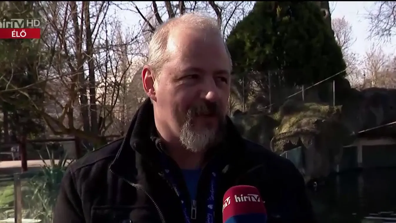 A vadvilág napját ünnepli az állatkert