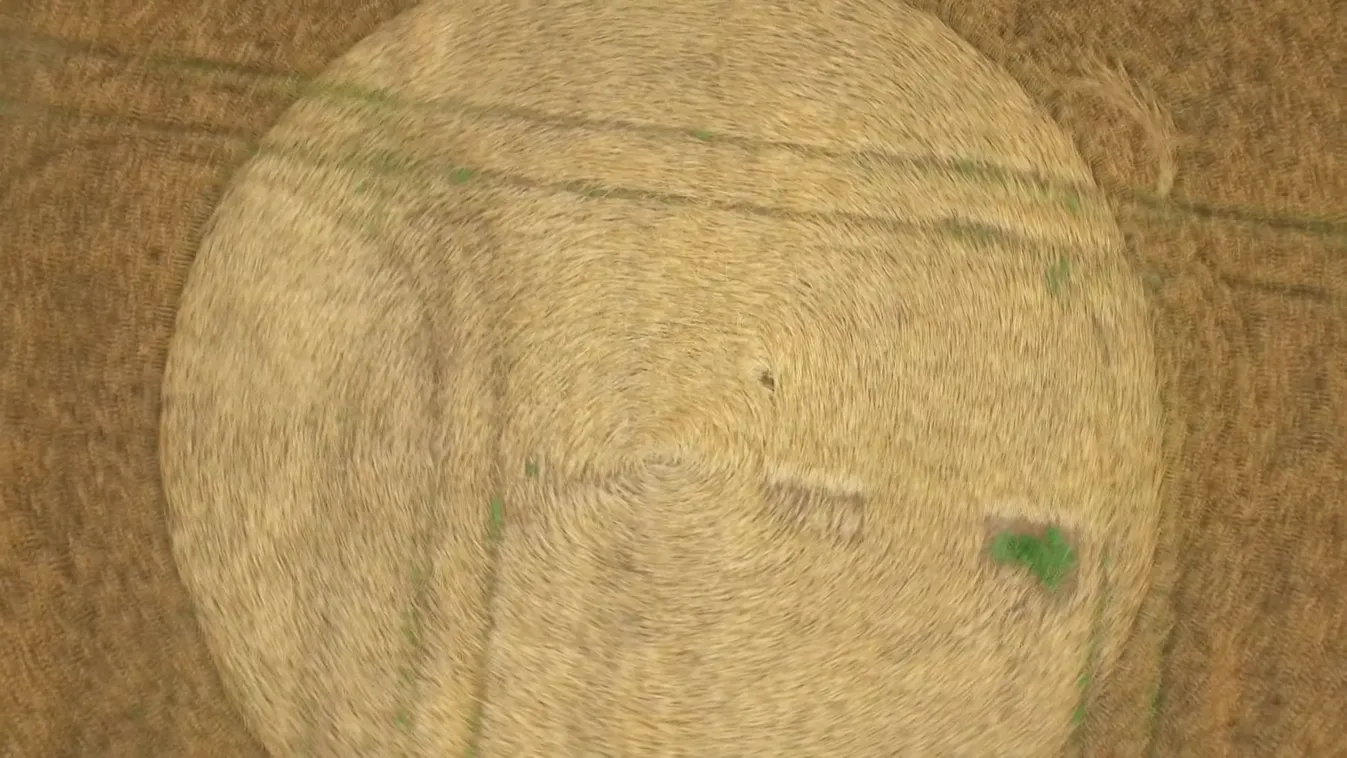 Radar - Földönkívüli találkozás