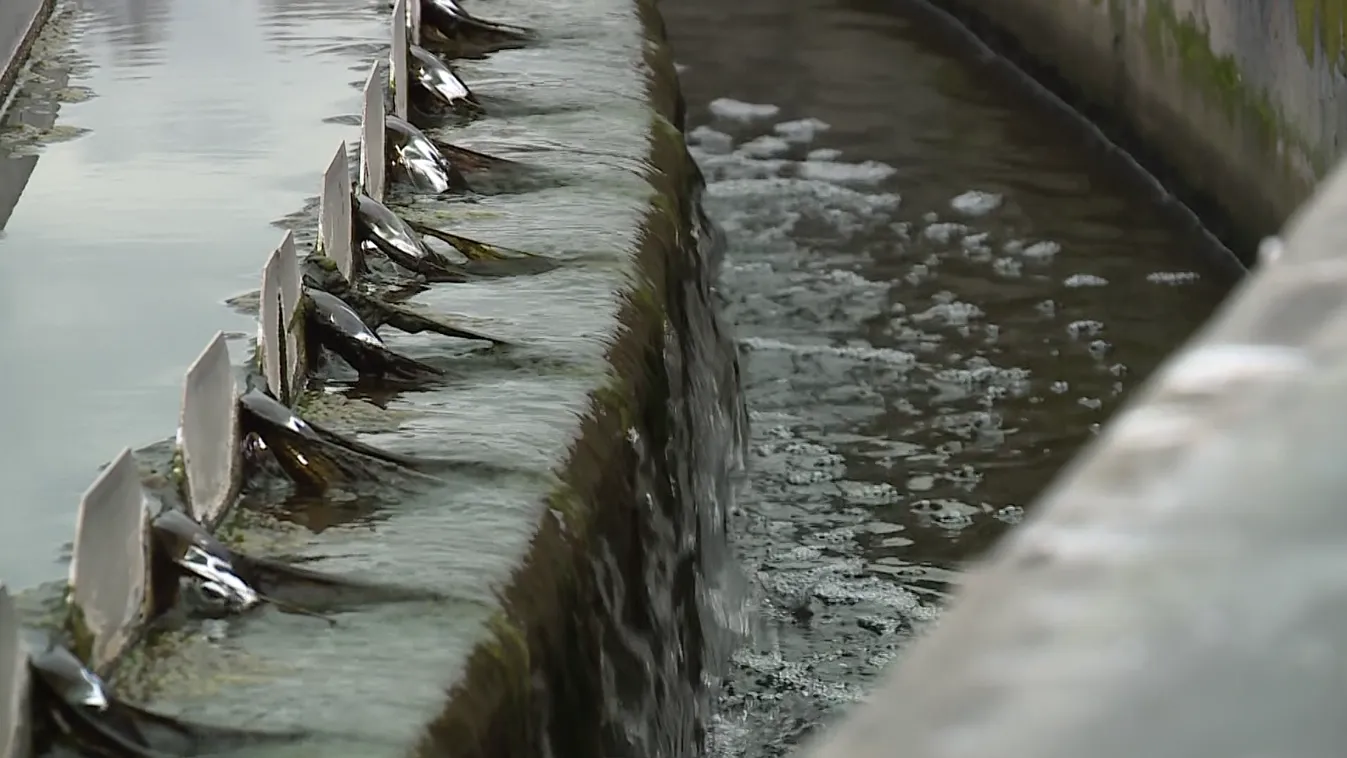 Radar - A víz világnapja Magyarországon