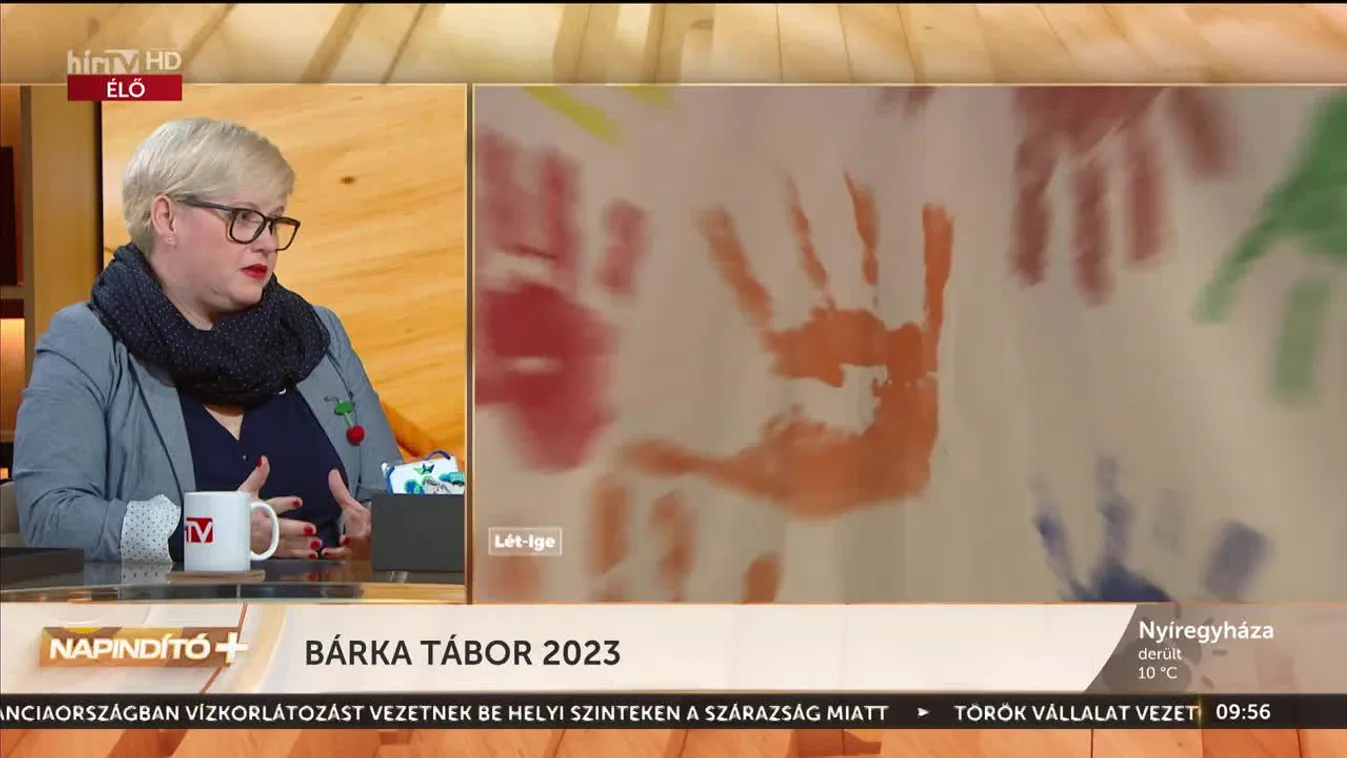 Napindító - Bárka Tábor 2023