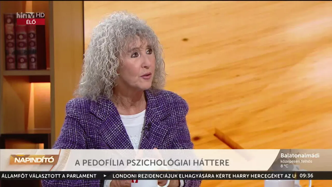 Napindító - A pedofília pszichológiai háttere