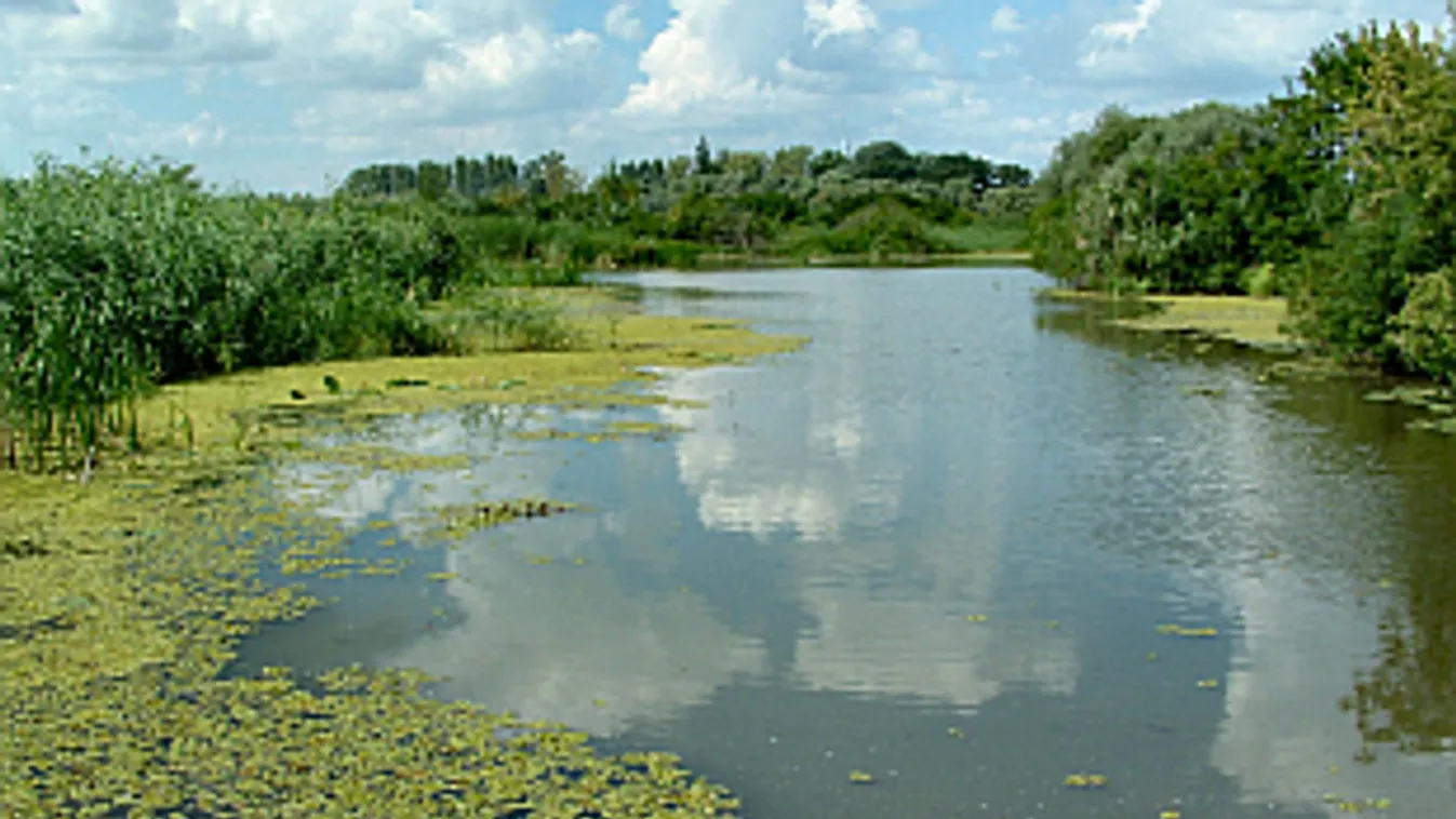 Réthy Pál: a vízgazdálkodást kiemelt stratégiai kérdésként kell kezelni