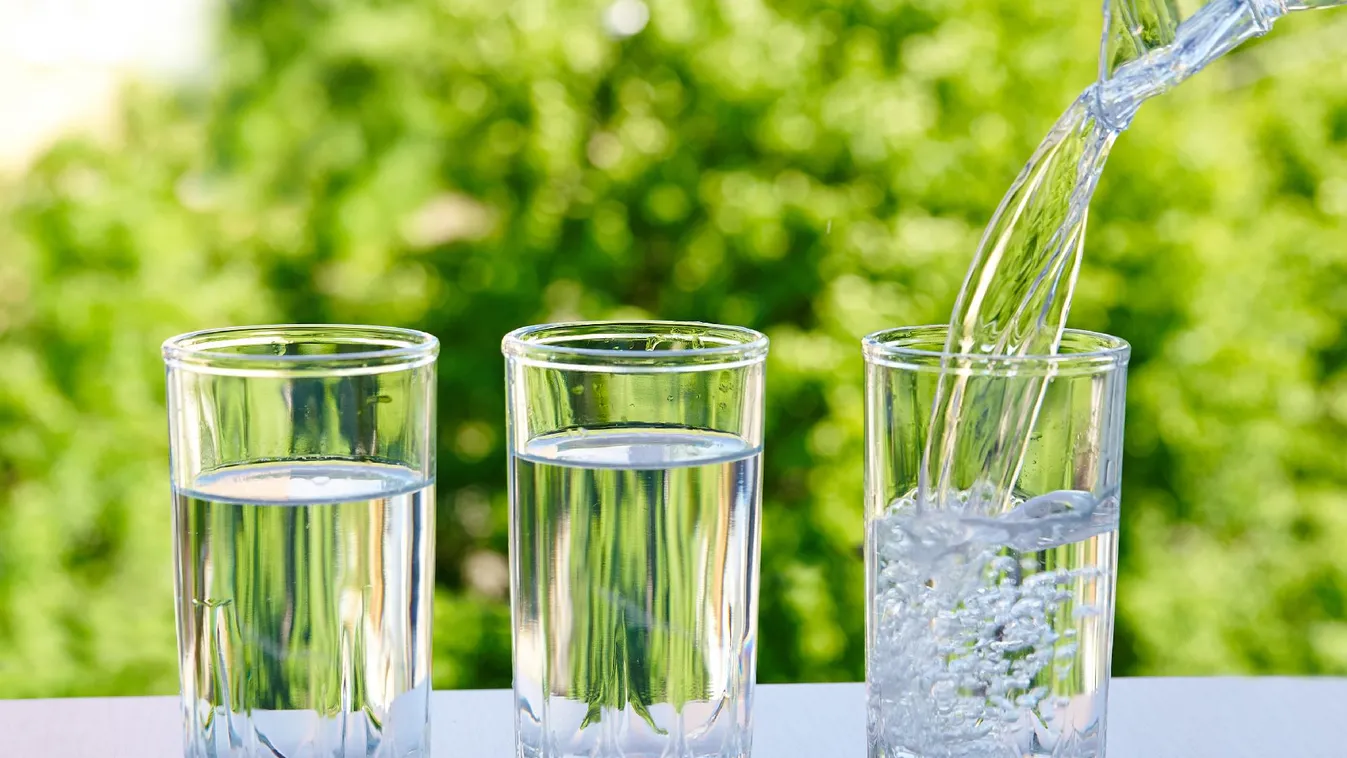 Hétfőn startol a vízivást népszerűsítő Happy-hét a közoktatásban