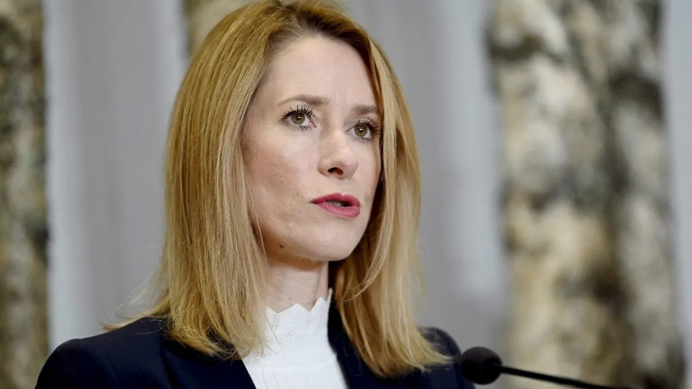 A miniszterelnök liberális pártja nyerte a választásokat Észtországban