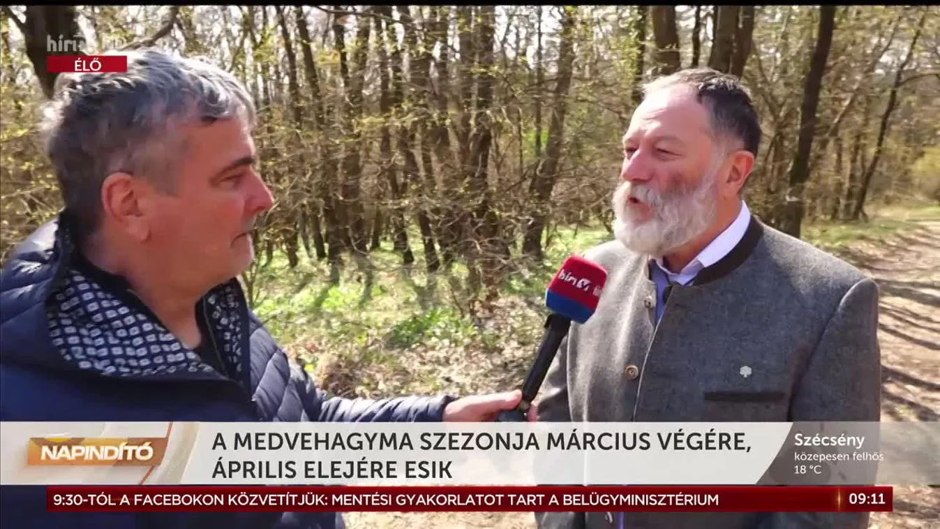 Napindító - A medvehagyma szezonja március végére, április elejére esik (2023-03-22)