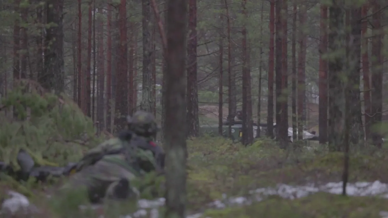 Radar - Brutális kivégzések a háborúban