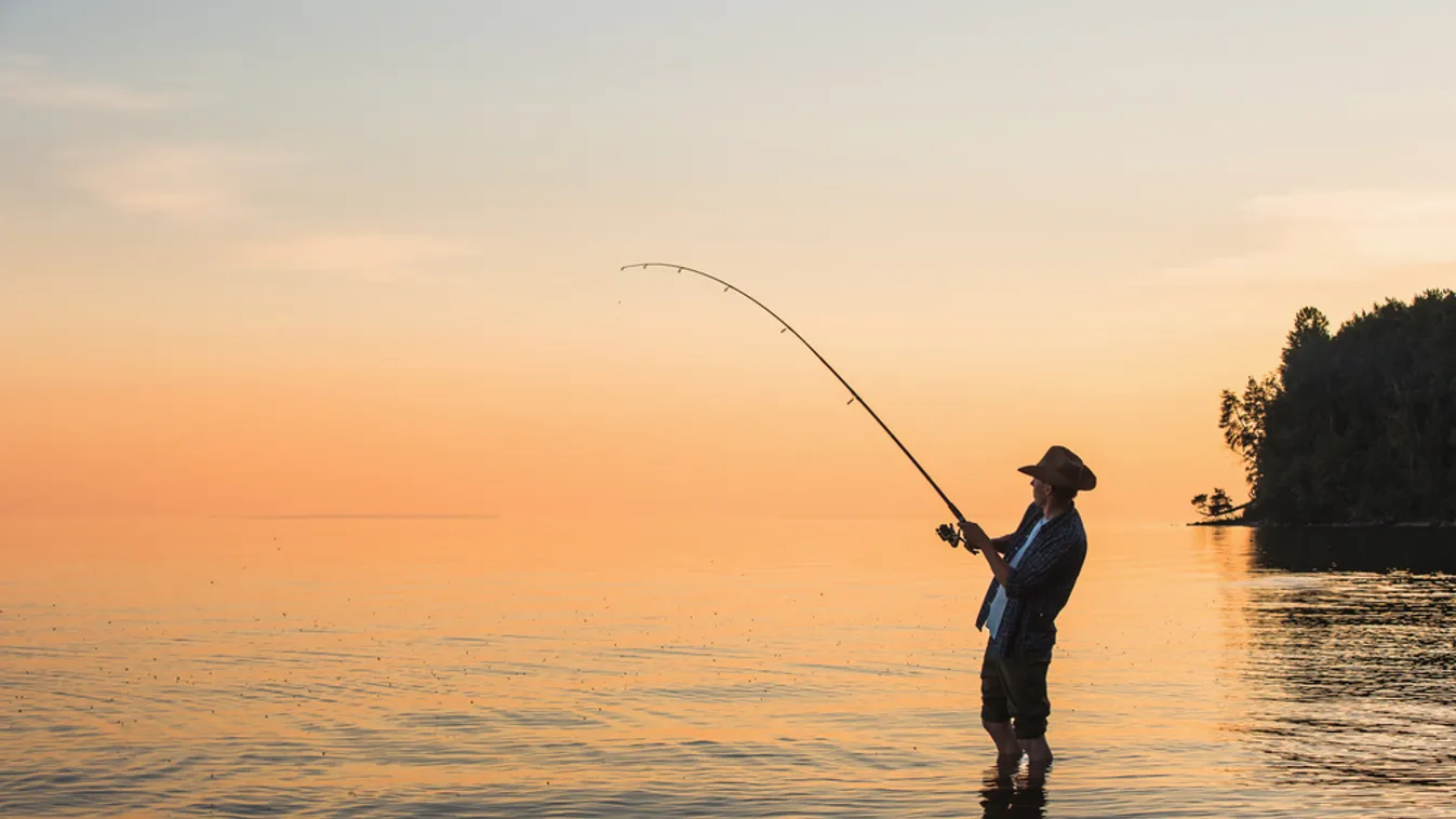 Szabadidős horgászok segítségét kérik a hazai vizek állapotának felméréséhez a kutatók