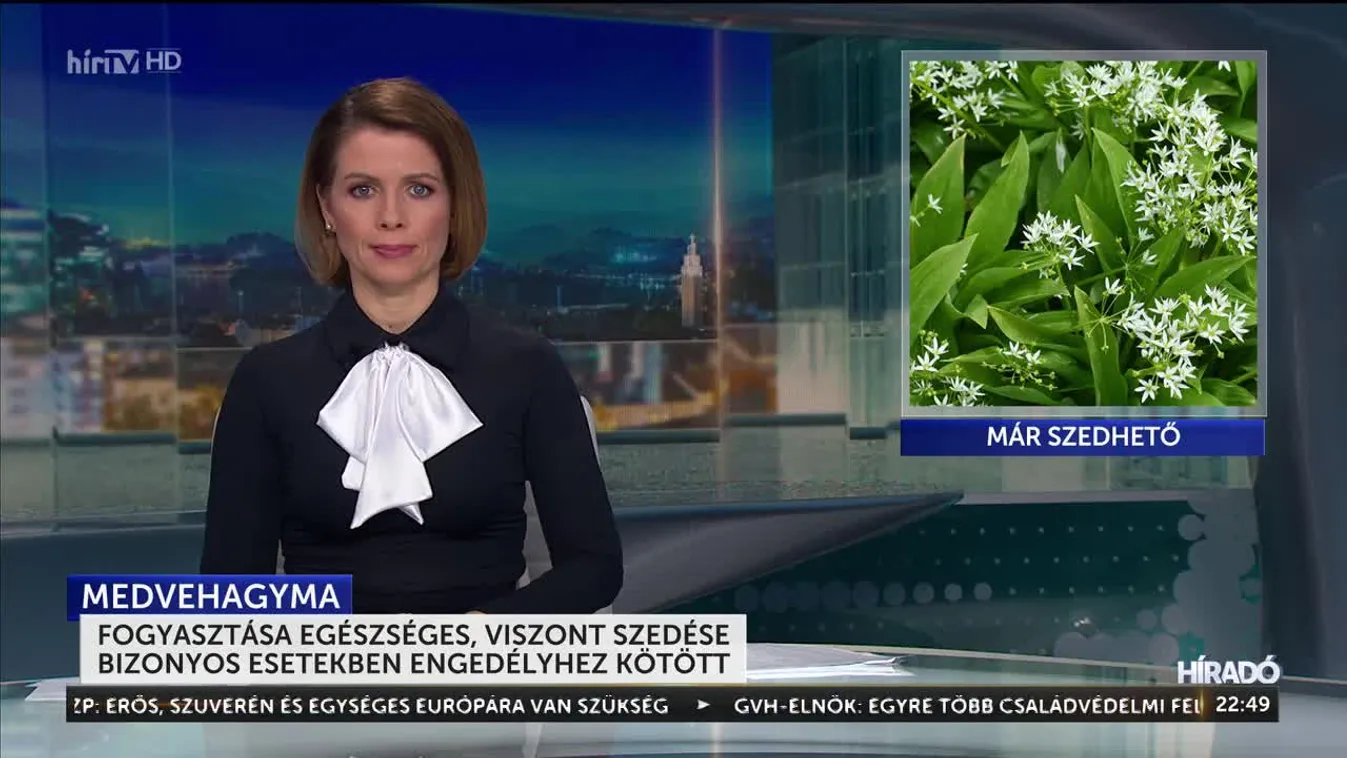 Itt a medvehagyma-szezon