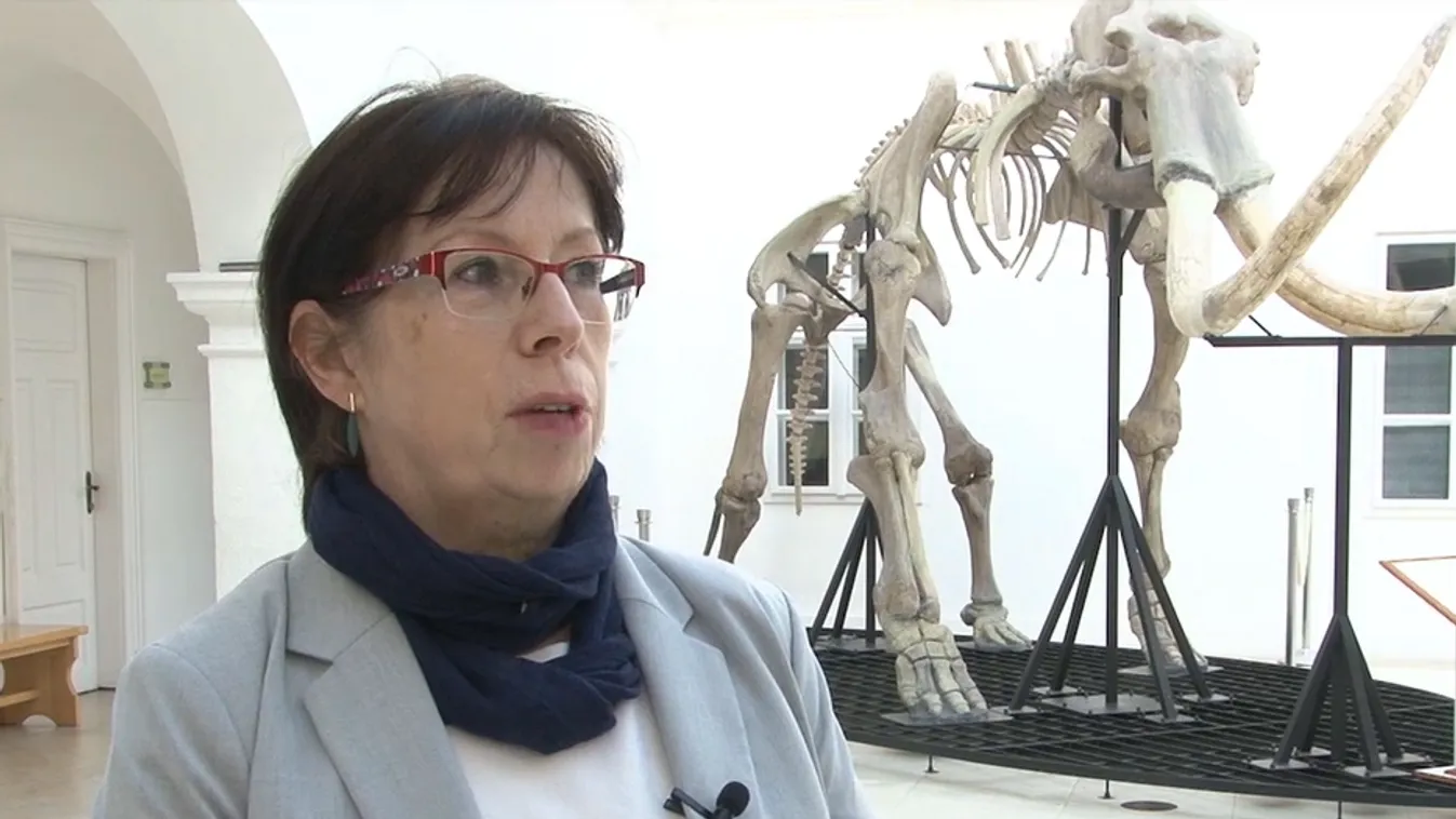 Radar - Kastélyból múzeum