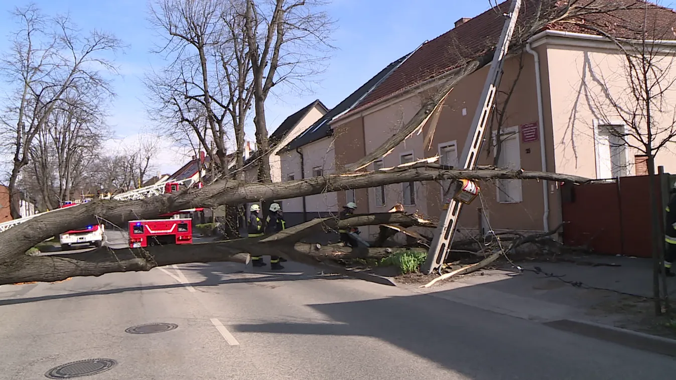 Több mint 500 esetnél avatkoztak be a tűzoltók