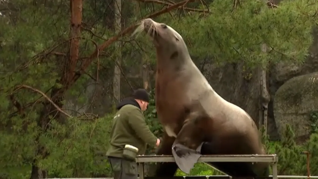 Húsvéti programok várják a családokat a Fővárosi Állat- és Növénykertben