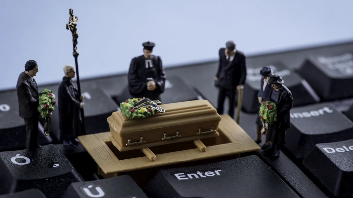 Radar - Csákánnyal estek neki az áfonyának