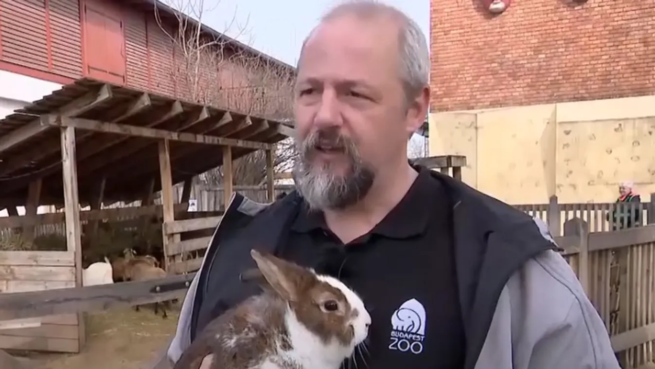Napindító – Húsvét az állatkertben