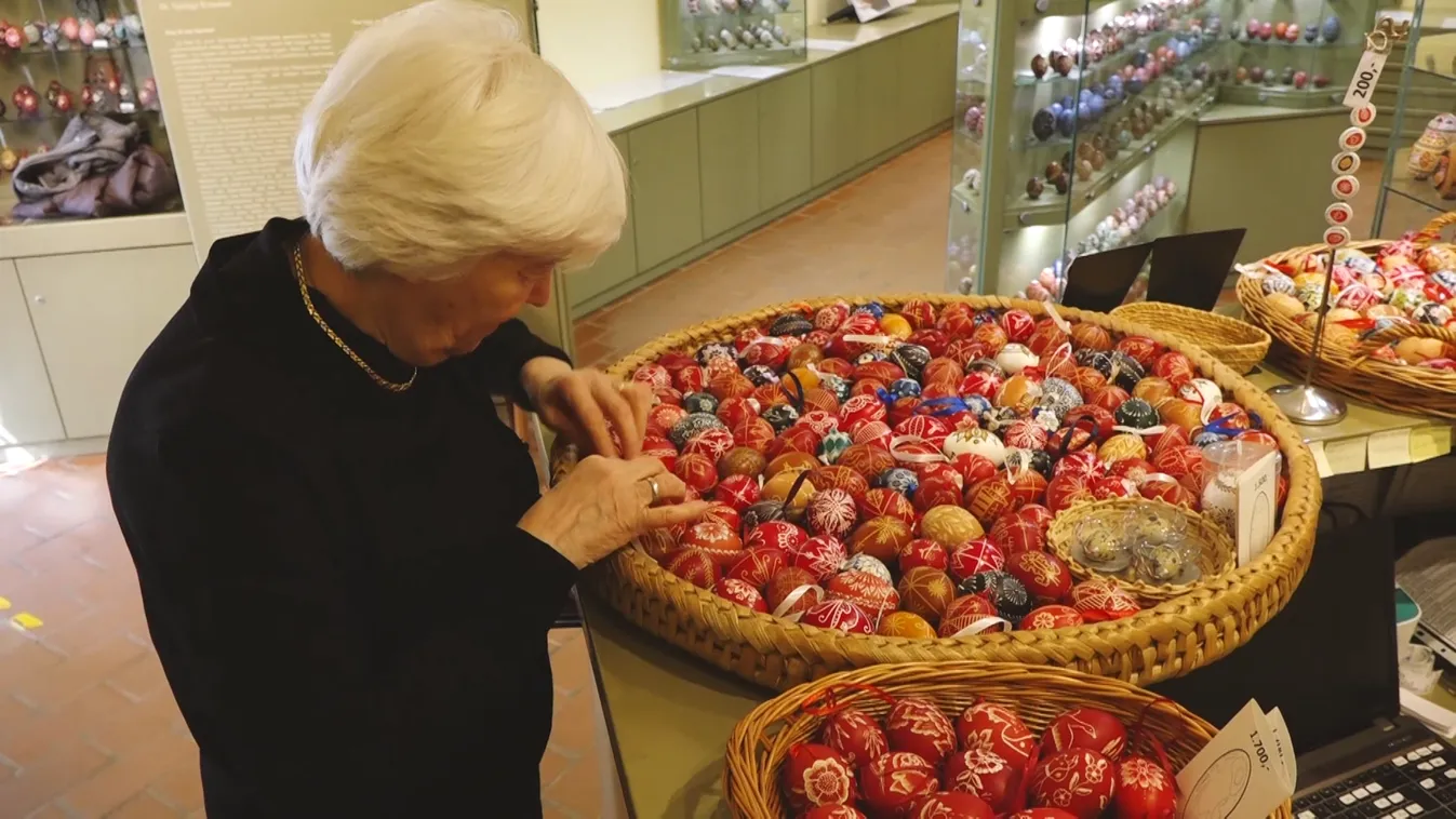Radar - A világon egyedülálló tojásgyűjtemény